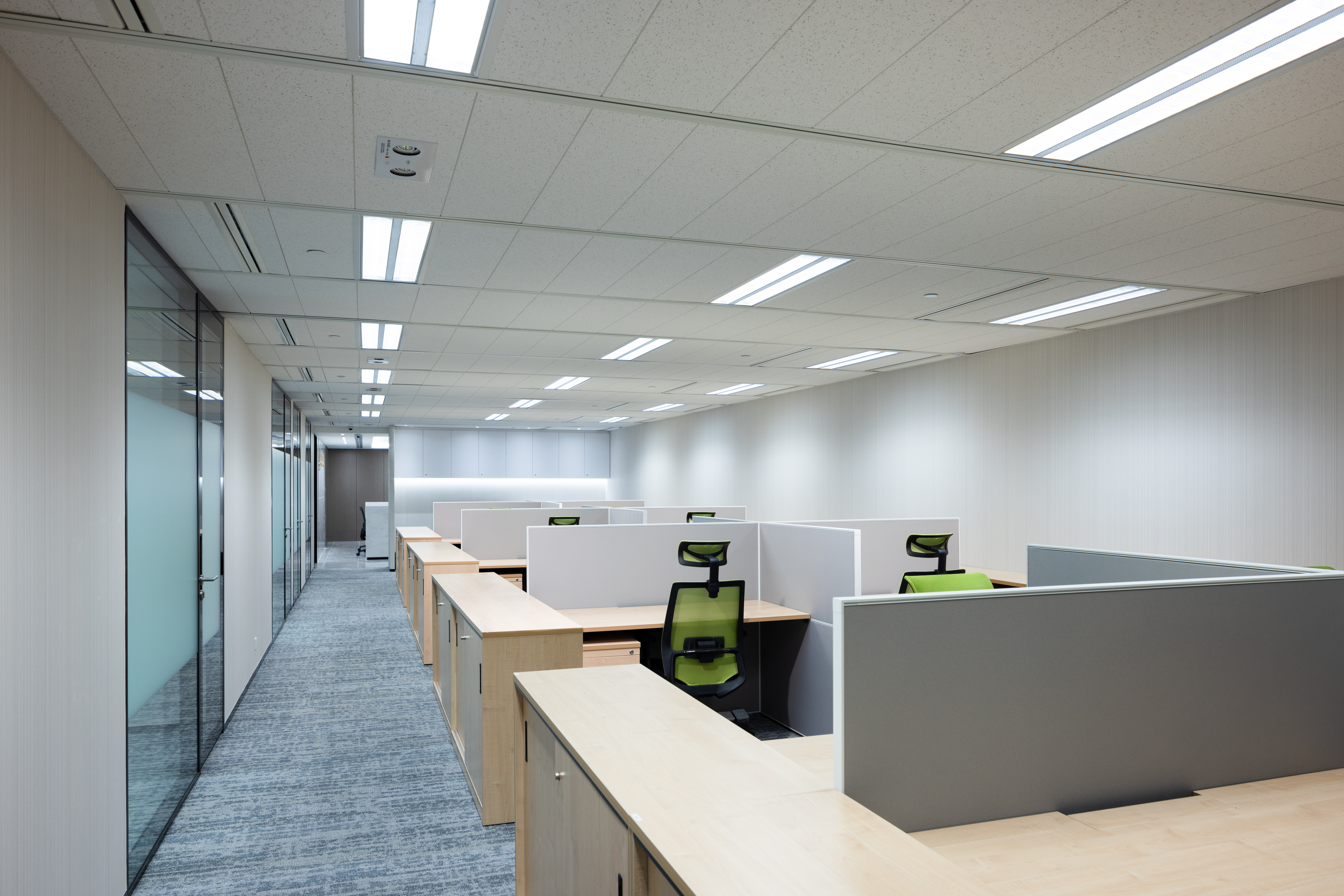 Shenzhen Investment Holdings Bay Area Development Company Limited